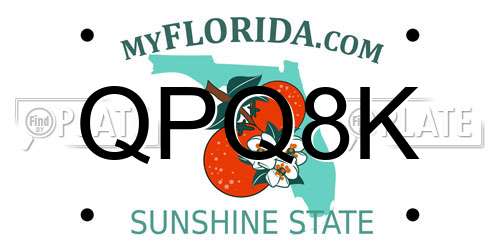 QPQ8K Florida License Plate