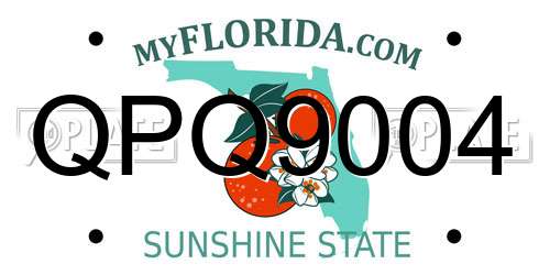 QPQ9004 Florida License Plate