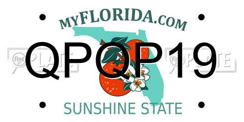 QPQP19 Florida License Plate
