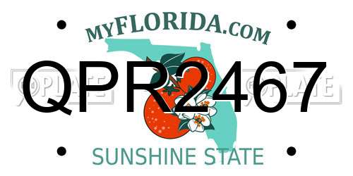 QPR2467 Florida License Plate