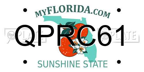 QPRC61 Florida License Plate