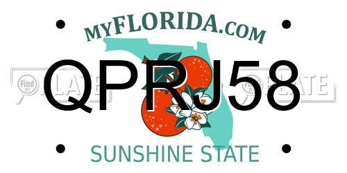 QPRJ58 Florida License Plate