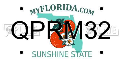 QPRM32 Florida License Plate