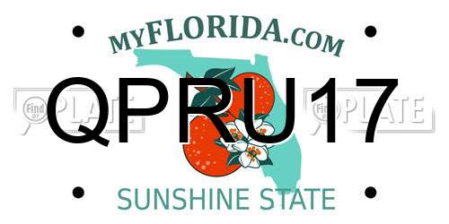 QPRU17 Florida License Plate