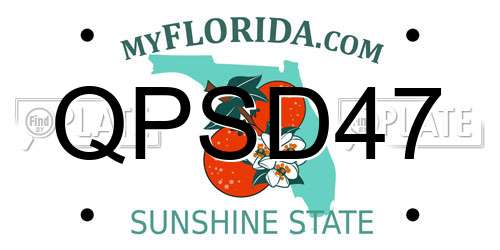 QPSD47 Florida License Plate