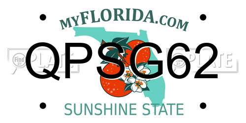 QPSG62 Florida License Plate