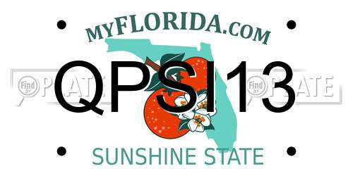 QPSI13 Florida License Plate