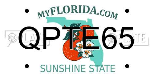 QPTE65 Florida License Plate