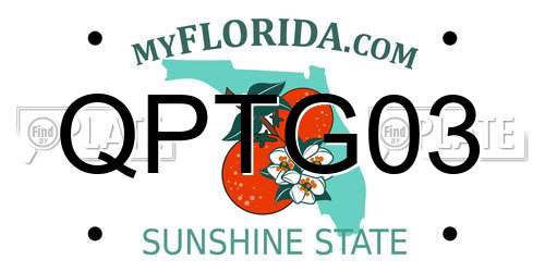 QPTG03 Florida License Plate