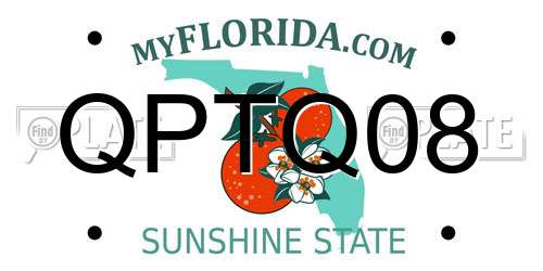 QPTQ08 Florida License Plate