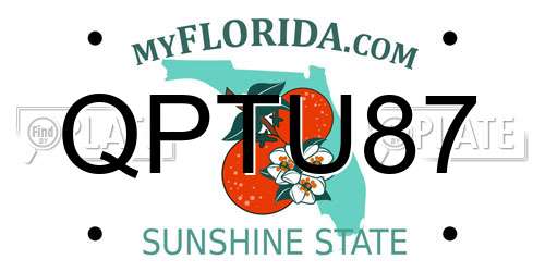 QPTU87 Florida License Plate