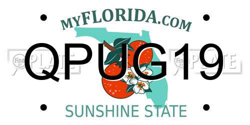 QPUG19 Florida License Plate