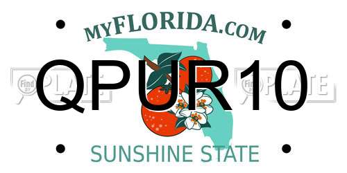 QPUR10 Florida License Plate