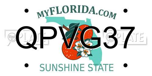 QPVG37 Florida License Plate