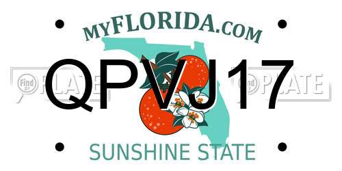 QPVJ17 Florida License Plate