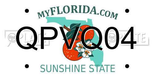 QPVQ04 Florida License Plate