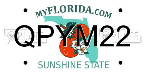 QPYM22 Florida License Plate