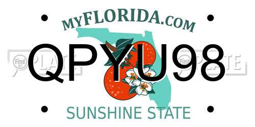 QPYU98 Florida License Plate
