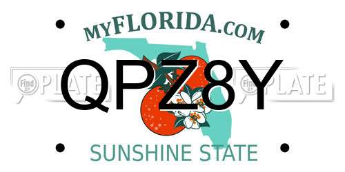QPZ8Y Florida License Plate