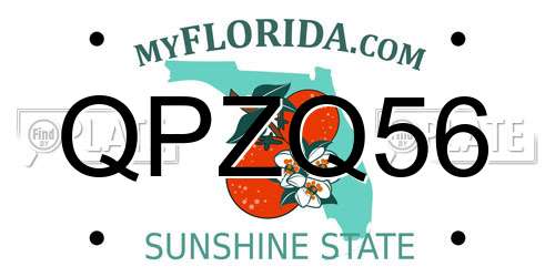 QPZQ56 Florida License Plate