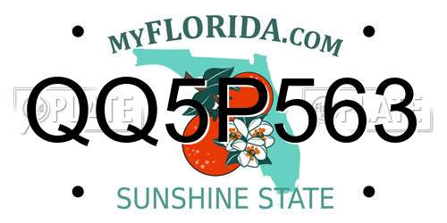 QQ5P563 Florida License Plate