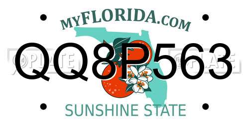 QQ8P563 Florida License Plate