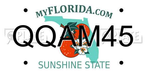 QQAM45 Florida License Plate