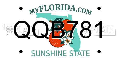 QQB781 Florida License Plate