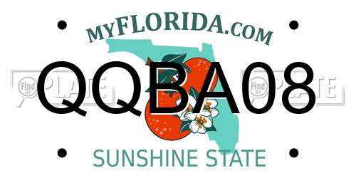 QQBA08 Florida License Plate