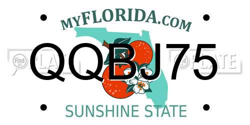 QQBJ75 Florida License Plate