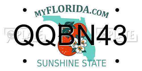 QQBN43 Florida License Plate