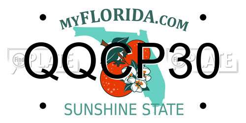 QQCP30 Florida License Plate