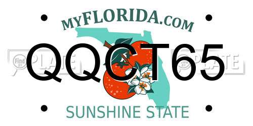 QQCT65 Florida License Plate