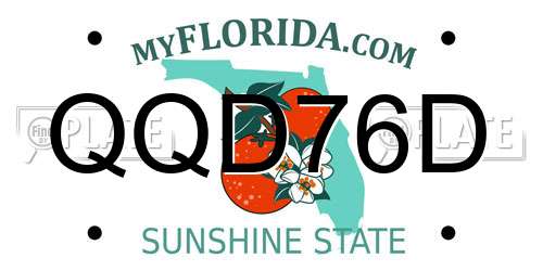 QQD76D Florida License Plate