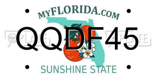 QQDF45 Florida License Plate
