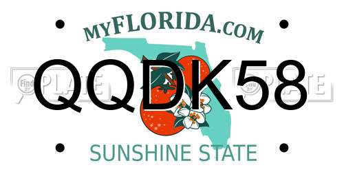 QQDK58 Florida License Plate