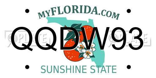 QQDW93 Florida License Plate