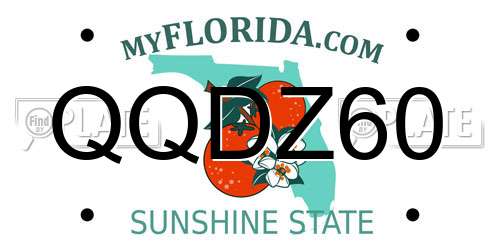 QQDZ60 Florida License Plate