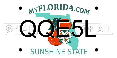QQE5L Florida License Plate