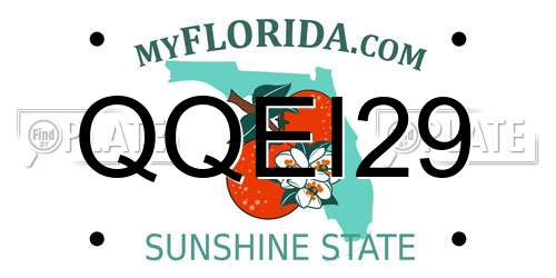 QQEI29 Florida License Plate