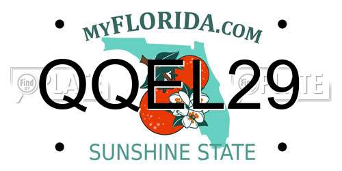 QQEL29 Florida License Plate