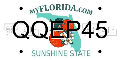QQEP45 Florida License Plate