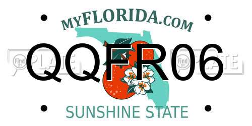 QQFR06 Florida License Plate