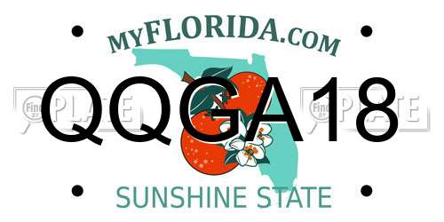 QQGA18 Florida License Plate