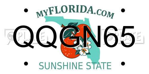 QQGN65 Florida License Plate