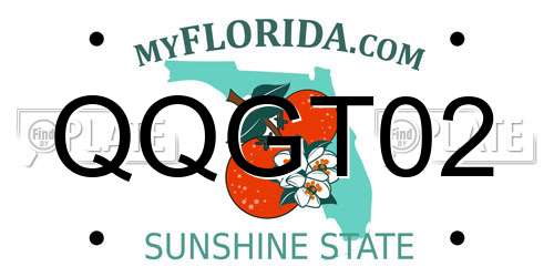 QQGT02 Florida License Plate