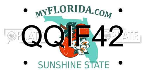 QQIF42 Florida License Plate