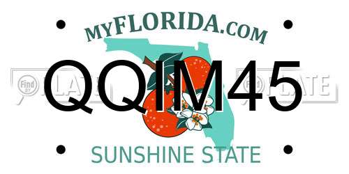 QQIM45 Florida License Plate