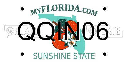 QQIN06 Florida License Plate
