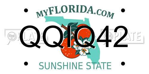 QQIQ42 Florida License Plate